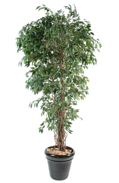 Kunstig Ficus Tree 210Cm For Innendørs Grønn