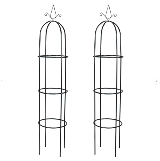 Hagebuetårnformet Bue (X2)