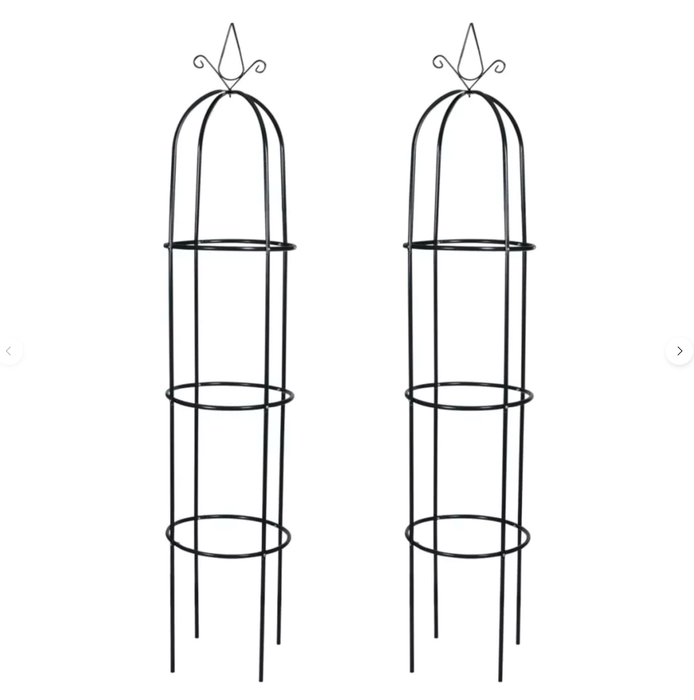 Hagebuetårnformet Bue (X2)