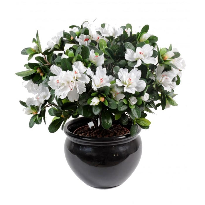 Kunstig Hvit Azalea 35 Cm På Innsats For Innendørs