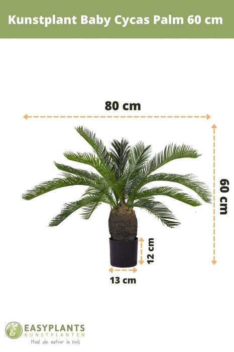 Baby Cycas - Kunstig Håndflate