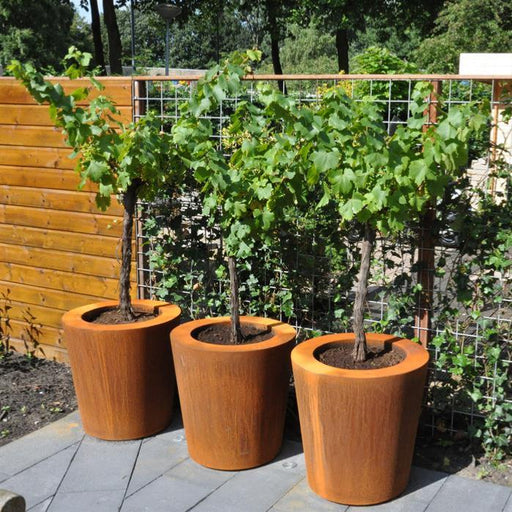 Cado Blomsterkasse I Cortenstål H.80Cm Rusten