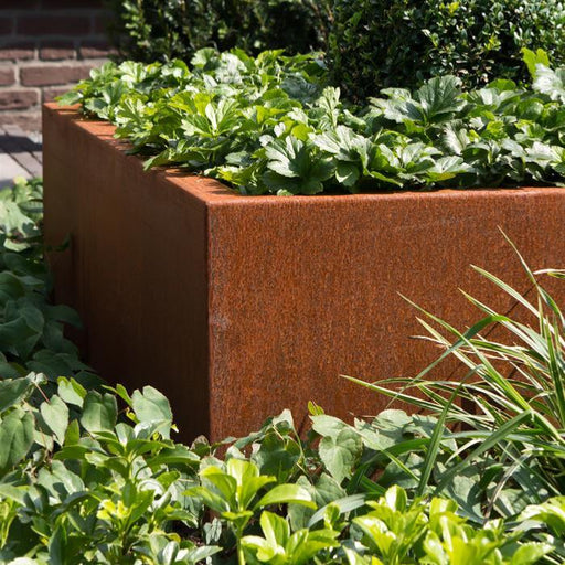 Corten Steel Square Flower Box 80X80Cm Rusty Look