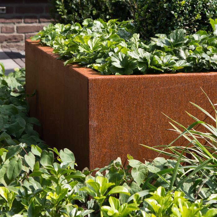 Rusten Effekt Corten Stål Firkantet Blomsterkasse 120X80 Cm