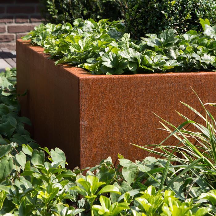 Rusten Corten Stål Firkantet Blomsterkasse 100X60Cm