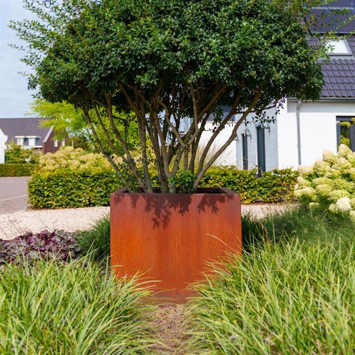 Rusty Look Corten Steel Square Flower Box