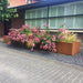 Corten Stål Plantekasse For Blomster 200X40Cm Hage