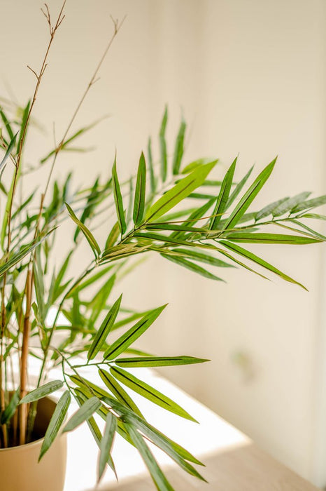 Royal Bamboo - Kunstig Grønn Plante