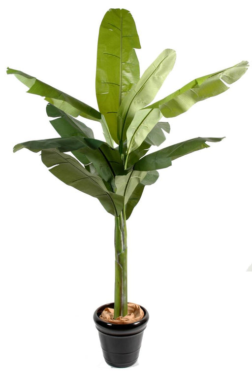 Kunstig Banantre 180 Cm Innendørs Plante