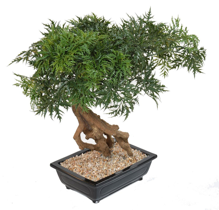 Kunstig Aralia Bonsai I Seksjon For Innendørs 60Cm