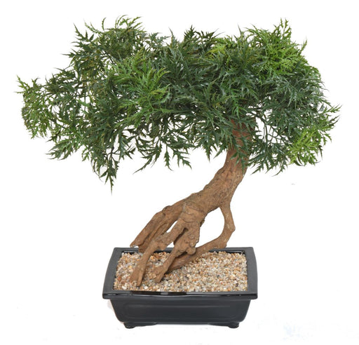 Kunstig Aralia Bonsai I Seksjon For Innendørs 60Cm