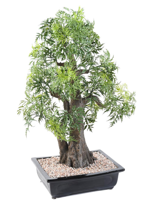 Kunstig Aralia Bonsai For Interiørdekorasjon