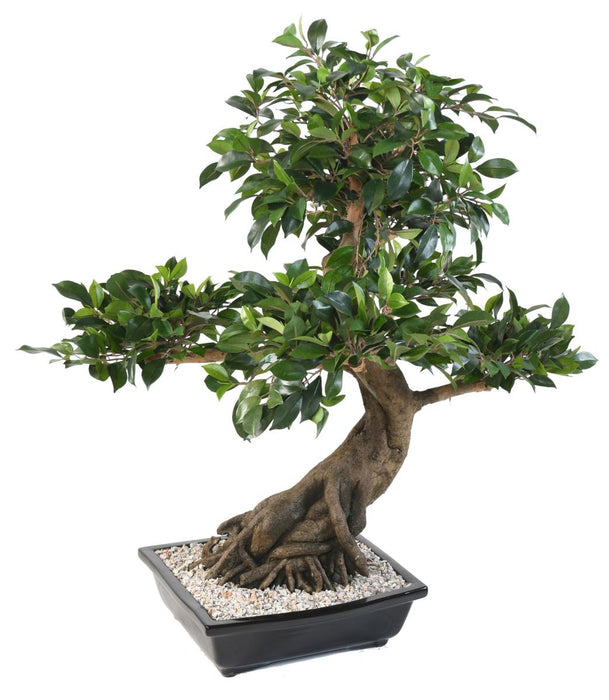 Kunstig Bonsai Ficus 78 Cm For Innendørs