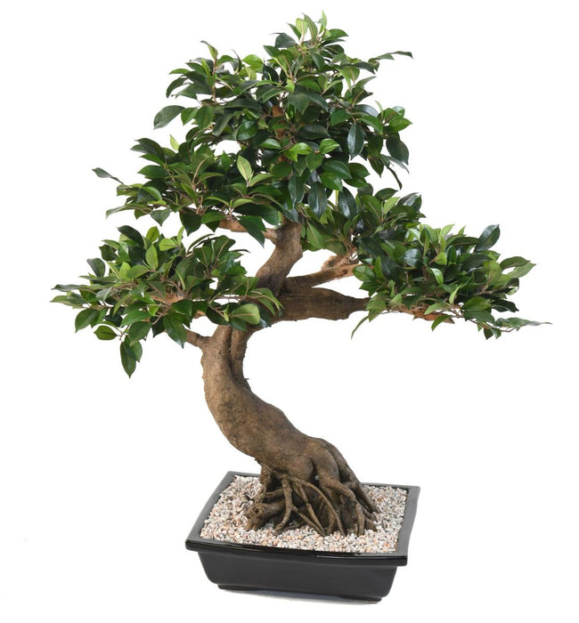 Kunstig Bonsai Ficus 78 Cm For Innendørs