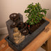 Cascading Bonsai (Budha)