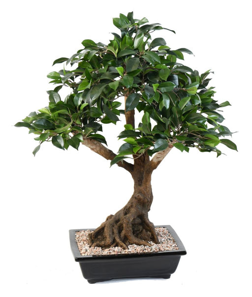 Kunstig Ficus Bonsai I Kopp 58 Cm Innendørs Plante