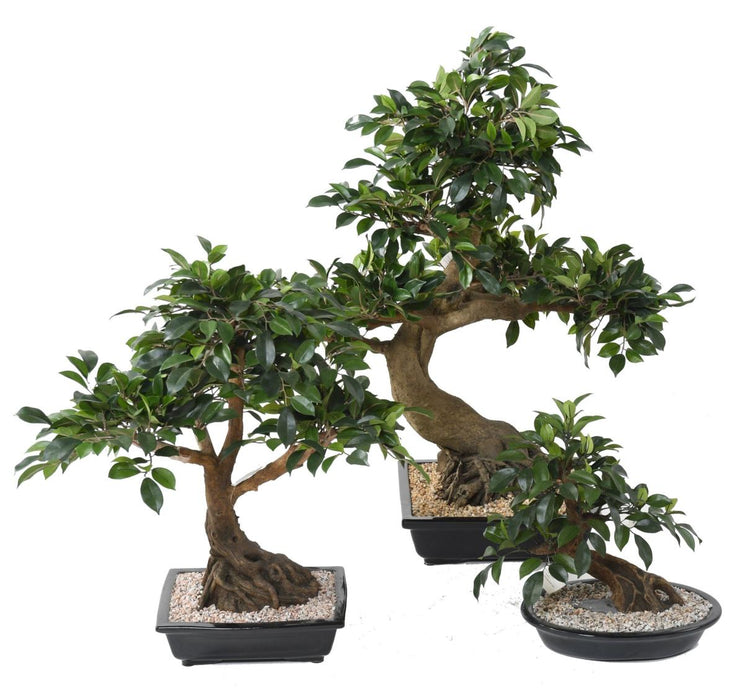 Kunstig Ficus Bonsai I Kopp 58 Cm Innendørs Plante