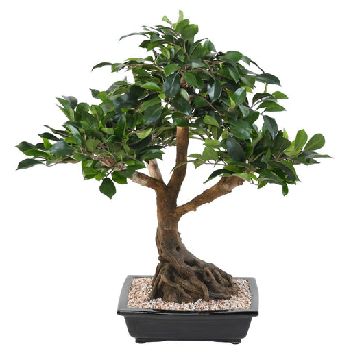 Kunstig Ficus Bonsai I Kopp 58 Cm Innendørs Plante