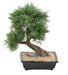 Kunstig Juniperus Bonsai 55 Cm Interiørdekorasjon