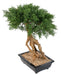 Kunstig Bonsai Juniperus 60 Cm Innendørs Plante