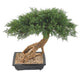 Kunstig Bonsai Juniperus 60 Cm Innendørs Plante