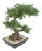 Kunstig Juniperus Bonsai 75 Cm Keramikk