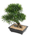 Kunstig Podocarpus Bonsai 50 Cm Kutt