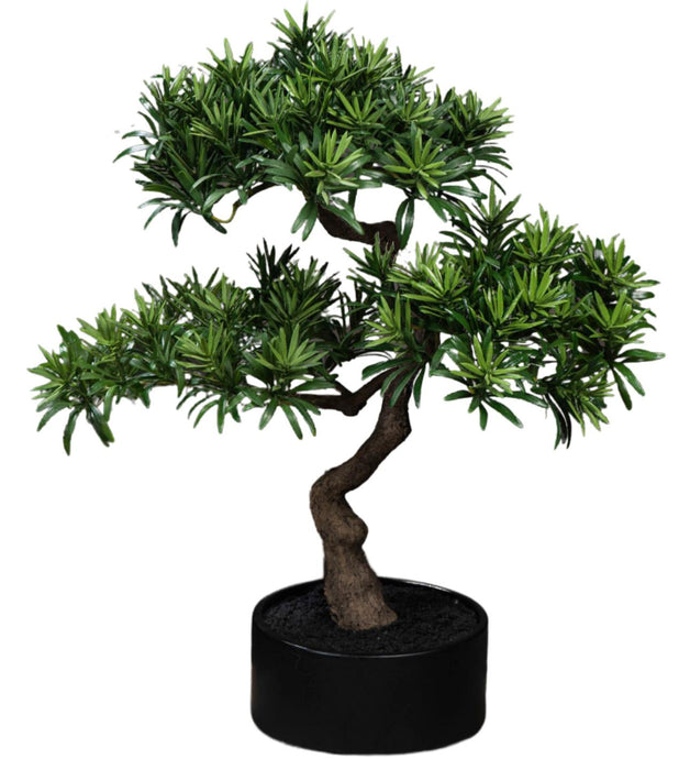 Kunstig Podocarpus Bonsai 50 Cm For Innendørs