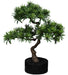 Kunstig Podocarpus Bonsai 50 Cm For Innendørs