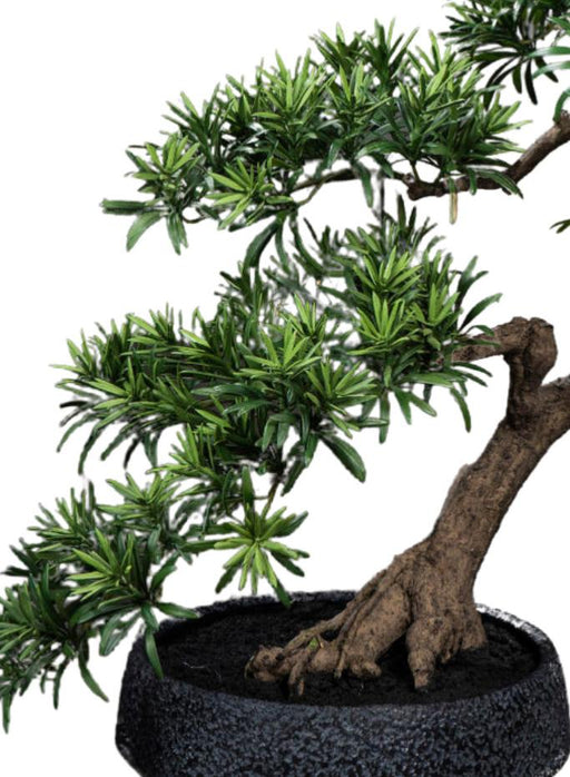 Kunstig Podocarpus Bonsai 70 Cm For Innendørs