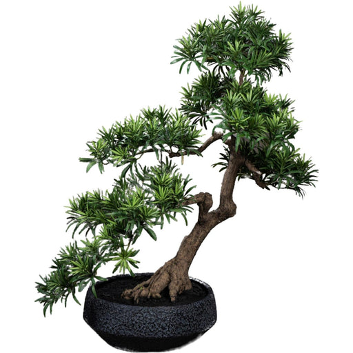 Kunstig Podocarpus Bonsai 70 Cm For Innendørs