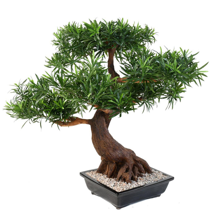 Kunstig Podocarpus Bonsai 78 Cm For Innendørs