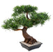 Kunstig Podocarpus Bonsai 78 Cm For Innendørs