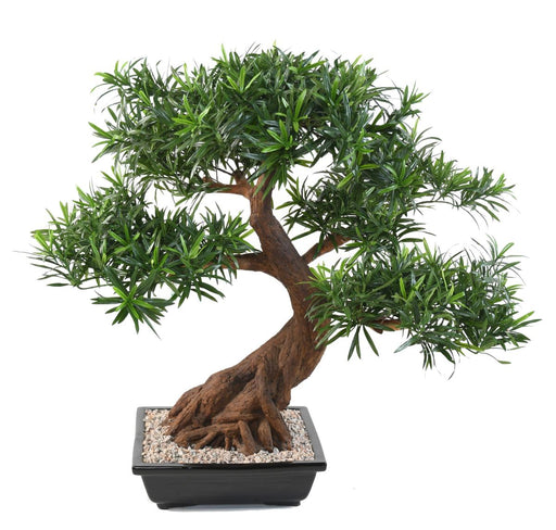 Kunstig Podocarpus Bonsai 78 Cm For Innendørs