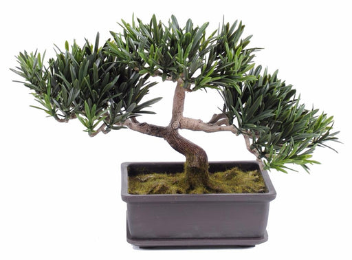 Kunstig Podocarpus Bonsai For Innendørs Og Utendørs