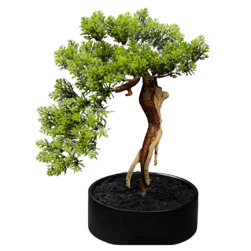 Kunstig Thuja Bonsai I Potte 30 Cm Dekorativ Plante