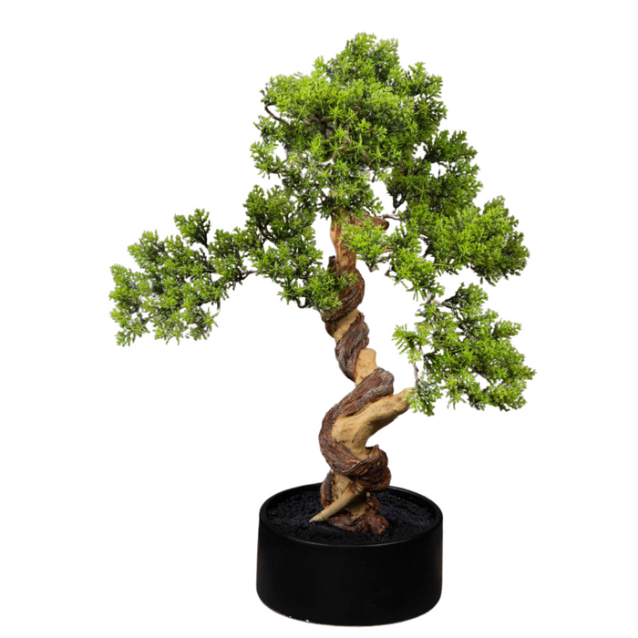 Kunstig Thuya Bonsai I Potte 50 Cm Dekorativ Plante