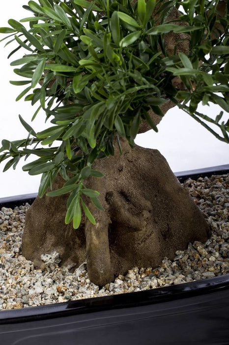 Bonsai Tree - Kunstig Bonsai