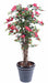 Kunstig Bougainvillea 150 Cm Fuchsia Innendørs Plante