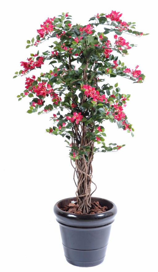 Kunstig Bougainvillea 150 Cm Fuchsia Innendørs Plante