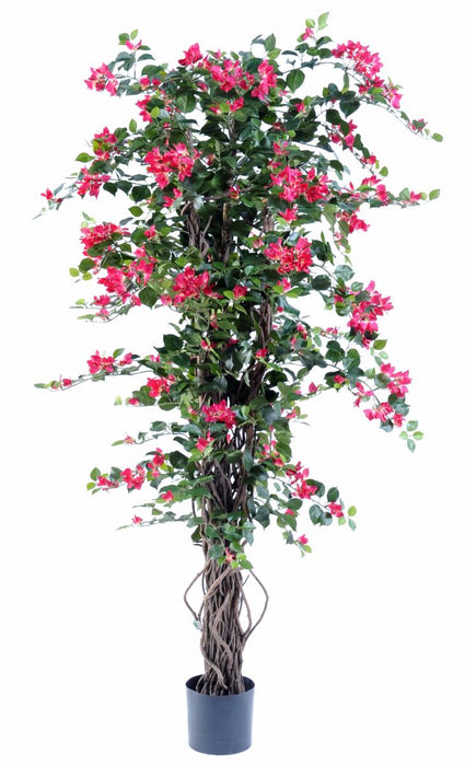 Kunstig Bougainvillea Fuchsia 180 Cm Innendørs Plante