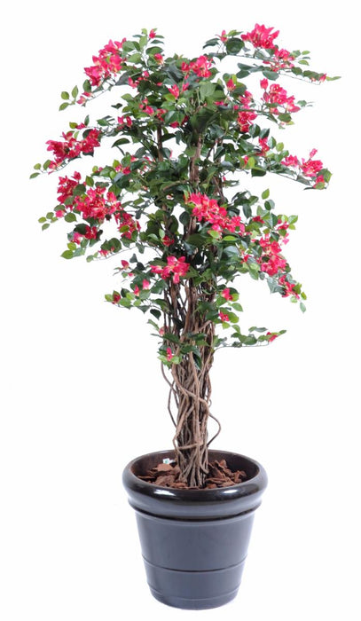 Kunstig Bougainvillea Fuchsia 210 Cm Innendørs Plante