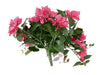 Kunstig Bougainvillea Fuchsia For Utendørs Dekorasjon