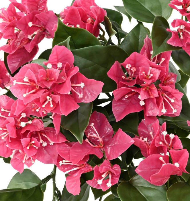 Kunstig Bougainvillea Fuchsia For Utendørs Dekorasjon