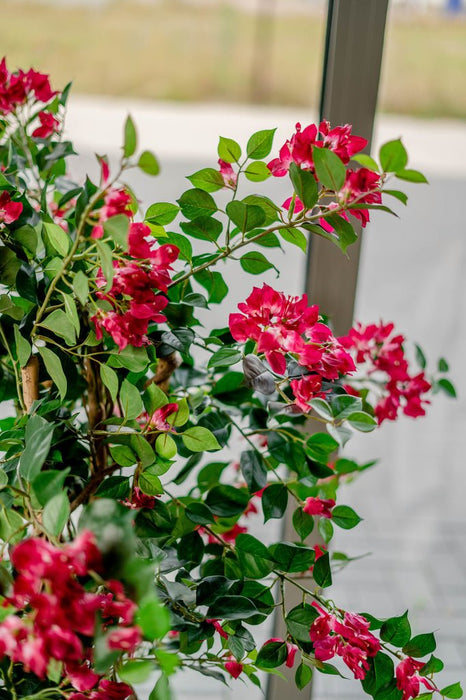 Bougainvillea Liana Fuschia - Kunstig Tre