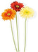 Kunstig Bukett Rød Gerbera 50 Cm