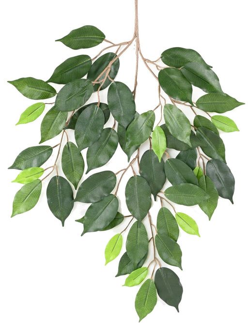 Kunstig Ficus-Gren 60 Cm Grønt Løvverk