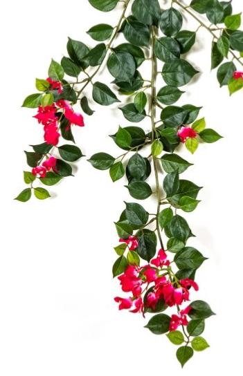 Kunstig Bougainvillea Gren 80Cm Fuchsia