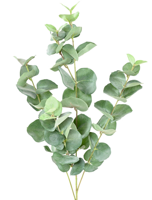 Kunstig Eucalyptus Gren Gunnii 70Cm Grønn