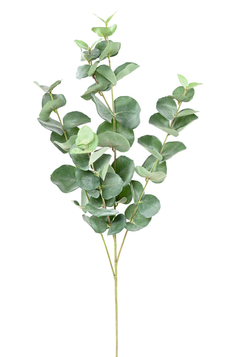 Kunstig Eucalyptus Gren Gunnii 70Cm Grønn